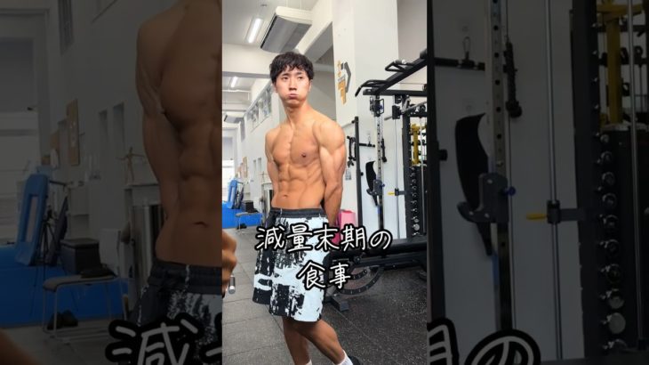 【減量末期の食事】1日1800キロカロリー#ダイエット #筋トレ#コロチキ西野