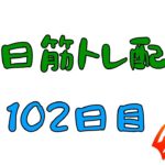 【リングフィットアドベンチャー&Fit Boxing】 毎日筋トレ配信102日目　痩せます