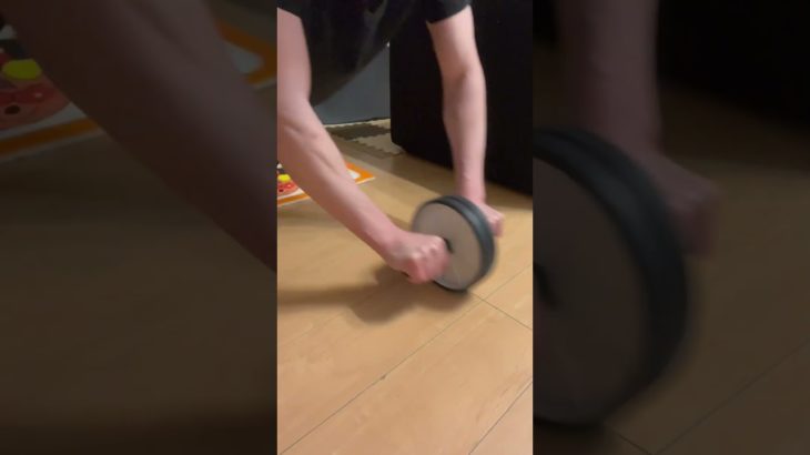 文鳥と筋トレ　#筋トレ#文鳥#腹筋ローラー#アブローラー#腹筋#小鳥 #鳥 #かわいい