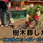 なぁこ家と樹木葬【オスカー・リコのダイエット日記40 41日目】