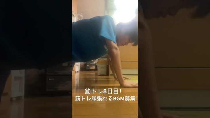 筋トレ動画毎日投稿8日目！BGM模索中です！#毎日投稿挑戦中 #毎日投稿 #筋トレ #筋トレ日記 #筋トレ記録