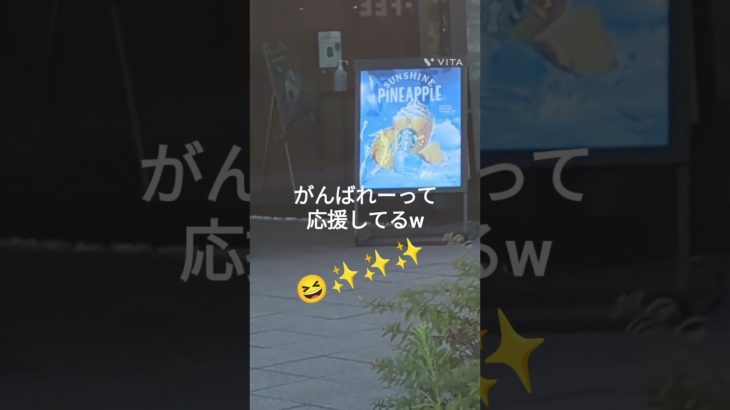 ダイエットがんばれーって応援📣😆#shorts#ハチノス#モチベ#ダイエット#ダイエッター#チンジャ