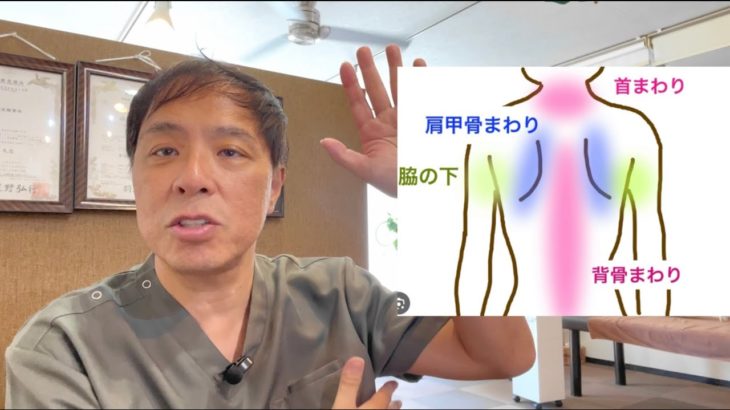 【ダイエット 】背中痩せ する人の３つの共通点