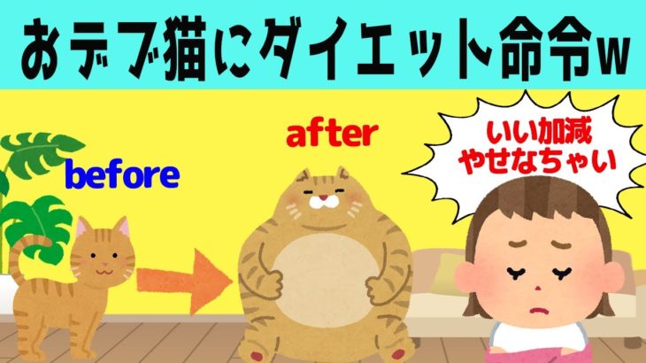 【ほのぼの】太りすぎた猫を見かねて、ダイエット指導を始める娘www