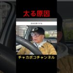 太る原因 #ダイエット #肥満 #炭水化物 #shorts