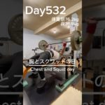 【筋トレ532日目】胸とスクワットの日#筋トレ#トレーニング#gym #パワーリフティング #powerlifting #muscle #big3 #benchpress #squat #sports