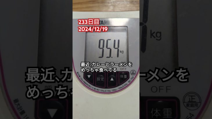 【233日目】ダイエット記録【2024/12/19】#ダイエット