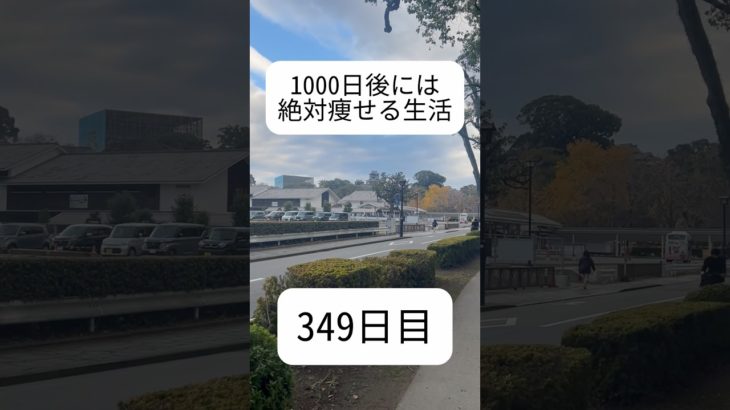 #ダイエット349日目 #138キロからの挑戦 #30代ダイエット #30キロダイエット成功 #現在30.8kgマイナス #2024年12月16日