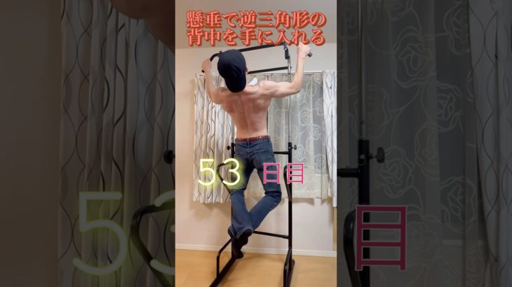 懸垂53日目　#懸垂 #筋トレ #文鳥