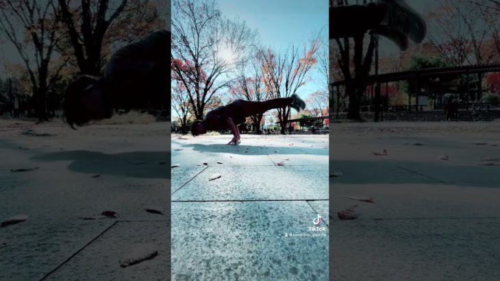 プランシェ　腕トレ　自重トレーニング　無重力　planche,calisthenics #workouts #筋トレ #自重トレーニング #bodyweightworkout #armworkout