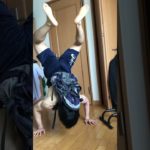 荷重倒立腕立て伏せ🔥（フォーム❌）🙏#fitness #倒立 #筋トレ #自重トレーニング #トレーニー #宅トレ #プロテイン #腕立て伏せ #筋肉