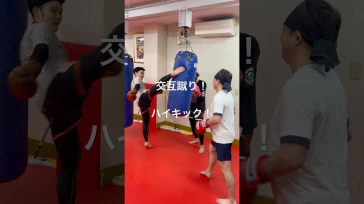 [キックボクシング　トレーニング　ダイエット] 交互蹴り！　ハイキック！　#キックボクシング #トレーニング #ダイエット