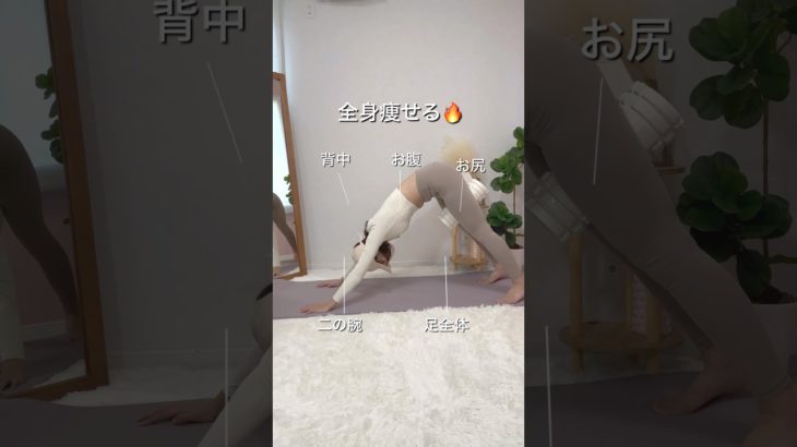 お腹痩せトレーニング#ダイエット #フォームローラー #全身痩せる