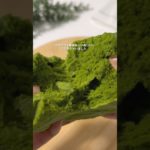 ヘルシー抹茶蒸しパン #ダイエットレシピ #ヘルシーおやつ #ヘルシースイーツ #ダイエット食 #米粉パン