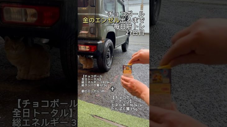 金のエンゼル出るまで毎日筋トレ27日目！【ちっち】#チョコボール