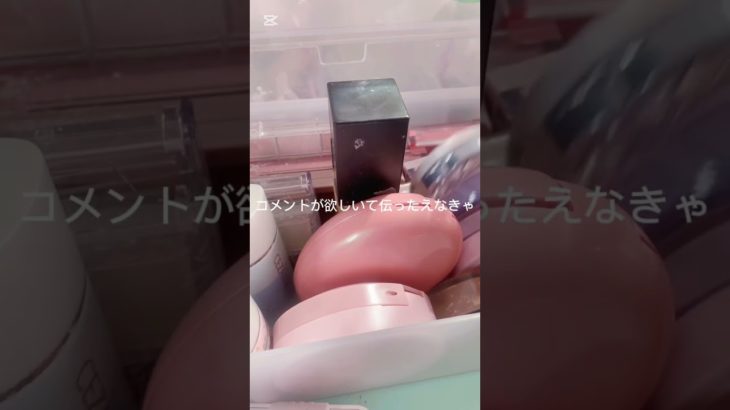 エホエホエホ #pets #animals #可愛い #コスメ #人気になりたい #メイク #生活音