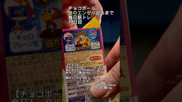 【ついに？】金のエンゼル出るまで毎日筋トレ77日目！【ちっち】#チョコボール