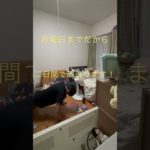 筋トレ生活78日目#筋トレ #筋トレ生活 #腕立て伏せ #78日目