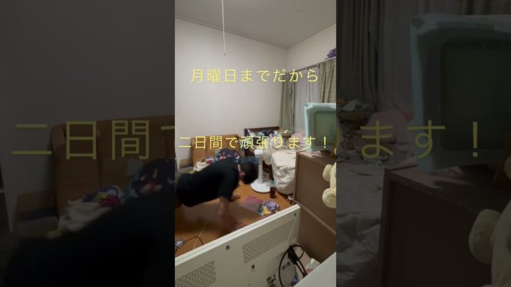 筋トレ生活78日目#筋トレ #筋トレ生活 #腕立て伏せ #78日目