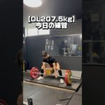 【DL207.5kgと200kgたくさん】今日の練習#筋トレ #パワーリフティング #deadlift #デッドリフト
