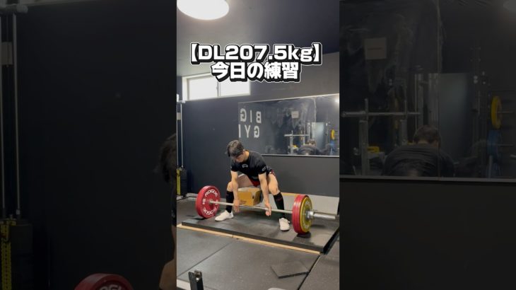 【DL207.5kgと200kgたくさん】今日の練習#筋トレ #パワーリフティング #deadlift #デッドリフト