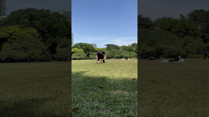 .#マジックプッシュアップ #MagicPushUp #Calisthenics #プッシュアップバー #自重トレ #筋トレショート #workoutshorts #体幹トレ #ストリートワークアウト