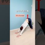 【脚痩せ】お尻からふくらはぎまでコレでOK✨#ダイエット#shorts #脚やせ #ヒップアップ #宅トレ #お腹痩せ #むくみ解消 #冷え性改善 #アラフォーダイエット