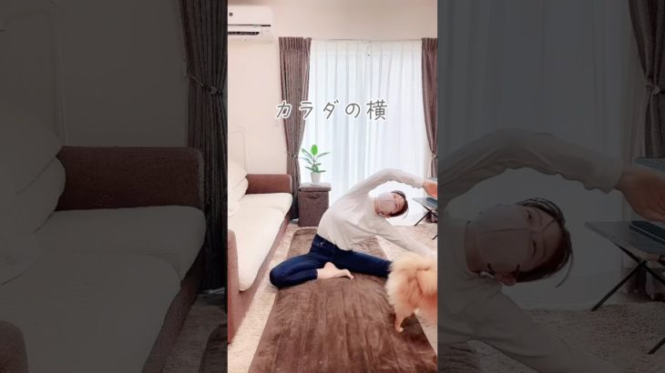 【腰肉スッキリ】うきわ肉とる簡単ストレッチ✨#ダイエット#shorts #お腹痩せ #お腹引き締め #アラフォーダイエット #40代ダイエット #簡単トレーニング #宅トレ #ストレッチヨガ