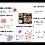 無料勉強会切り抜き〜脂肪について〜