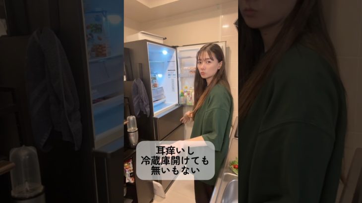 【悲報】独身女の冷蔵庫/ダイエットインストラクター