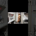 朝4:00から始まるダイエットルーティン