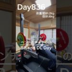 【筋トレ836日目】ベンチとデッドの日#筋トレ#トレーニング#gym #パワーリフティング #powerlifting  #big3 #ちいかわ#ハチワレ #富山 #胸トレ#ベンチプレス#デッドリフト