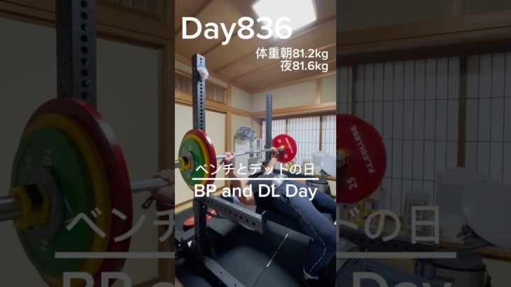 【筋トレ836日目】ベンチとデッドの日#筋トレ#トレーニング#gym #パワーリフティング #powerlifting  #big3 #ちいかわ#ハチワレ #富山 #胸トレ#ベンチプレス#デッドリフト