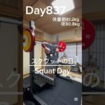 【筋トレ837日目】スクワットの日#トレーニング#gym #パワーリフティング #muscle #big3 #北海道 #squat #shorts #スクワット #富山 #脚トレ #shorts
