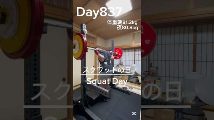 【筋トレ837日目】スクワットの日#トレーニング#gym #パワーリフティング #muscle #big3 #北海道 #squat #shorts #スクワット #富山 #脚トレ #shorts