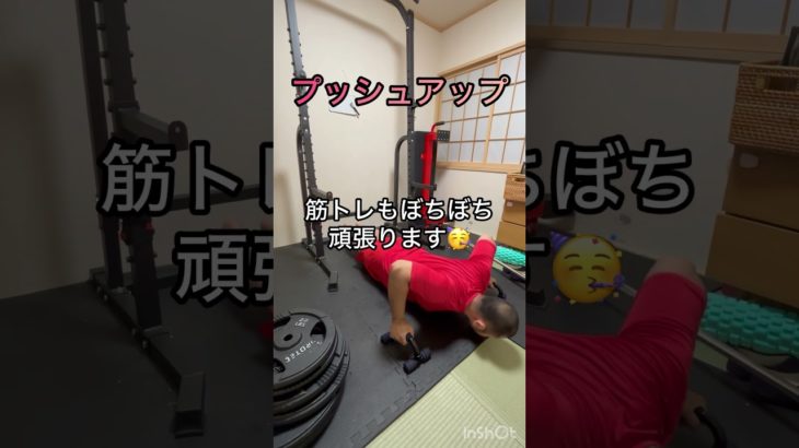 寝る前に腕立て