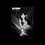 ILFORD gallery 2025 Pearl Skin
