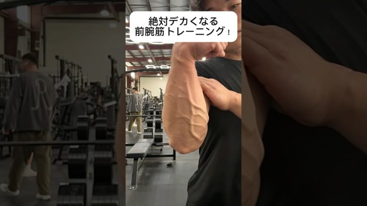 最強前腕筋トレ！#ショート #ユーチューブ #おすすめ #筋トレ #ジム #モチベーション #筋肉 #ボディービル #shorts #short #youtubeshorts #motivation