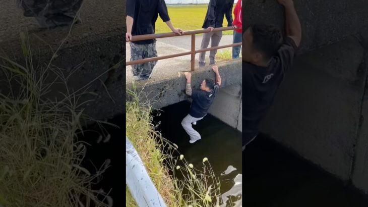 焼肉奢りバトル#勝負 #賭け #一休さん #焼肉 #新潟 #筋トレ