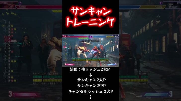 ヴァイパーのサンキャン筋トレ方法