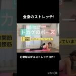 #yoga#ヨガ#ストレッチ#筋トレ#骨盤底筋#骨盤調整#骨盤矯正#姿勢改善#自律神経を整える#シークエンス#便秘解消