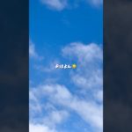 2025年も残り50日‼️😱#vlog #おすすめ #料理 #ダイエット #ダイエット記録 #簡単レシピ #ショート #宅トレ #平日vlog #ウォーキング #腸活 #仕事 #ルーティン