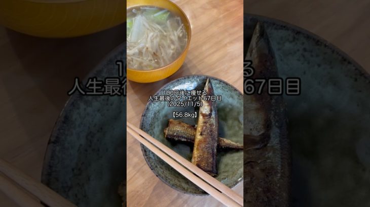 【diet vlog】人生最後のダイエット67日目【100日ダイエット】